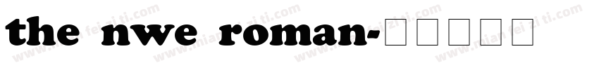 the nwe roman字体转换